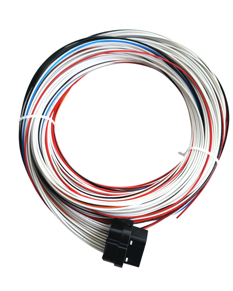 Hard Wired Motorsports PD16 Haltech Tefzel Loom photo