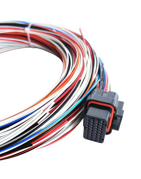 Hard Wired Motorsports PD16 Haltech Tefzel Loom photo