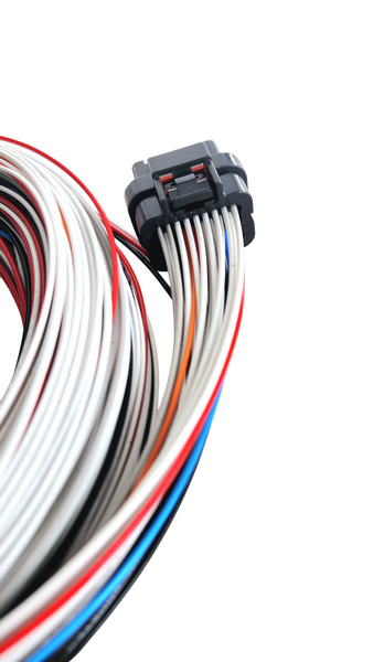 Hard Wired Motorsports PD16 Haltech Tefzel Loom photo
