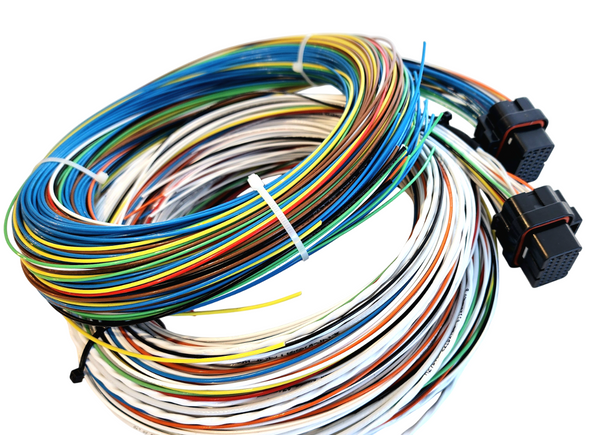 Hard Wired Motorsports R3 Haltech Tefzel Loom photo