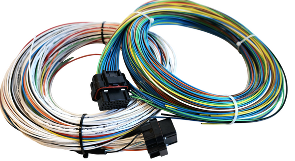 Hard Wired Motorsports R3 Haltech Tefzel Loom photo