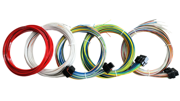 Hard Wired Motorsports R5 Haltech Tefzel Looms photo