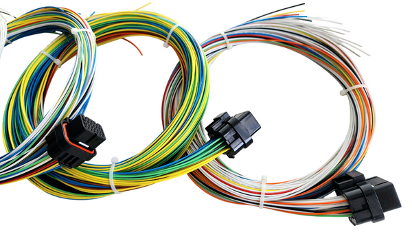Hard Wired Motorsports R5 Haltech Tefzel Loom photo