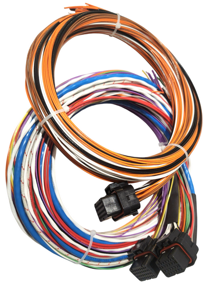 Hard Wired Motorsports Syvecs S7 Tefzel Loom photo