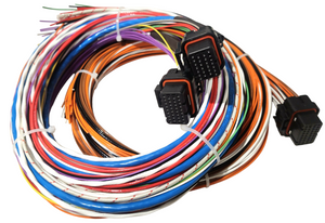 Hard Wired Motorsports Syvecs S7 Tefzel Loom photo