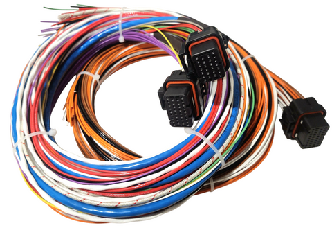 Hard Wired Motorsports Syvecs S7 Tefzel Loom photo