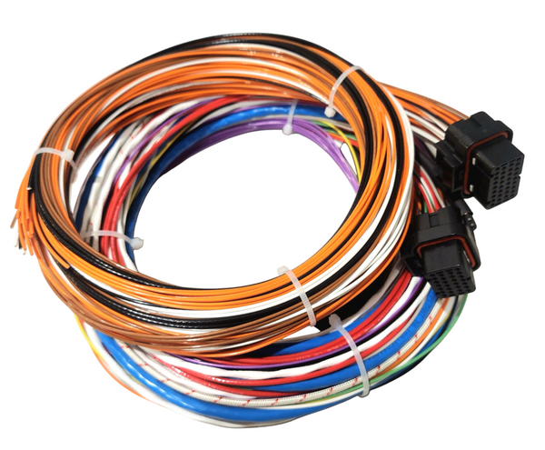 Hard Wired Motorsports Syvecs S7 Tefzel Loom photo