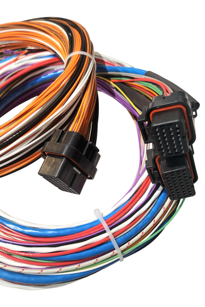 Hard Wired Motorsports Syvecs S7 Tefzel Loom photo