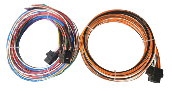 Hard Wired Motorsports Syvecs S7 Tefzel Loom photo