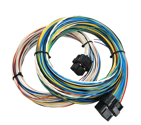 Hard Wired Motorsports Wolf EMS V550 Tefzel Loom photo