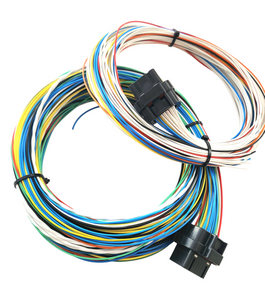 Hard Wired Motorsports Wolf EMS V550 Tefzel Loom photo