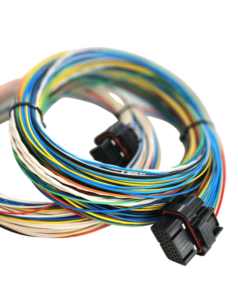 Hard Wired Motorsports Wolf EMS V550 Tefzel Loom photo