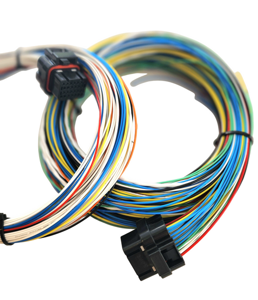 Hard Wired Motorsports Wolf EMS V550 Tefzel Loom photo