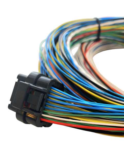 Hard Wired Motorsports Wolf EMS V550 Tefzel Loom photo