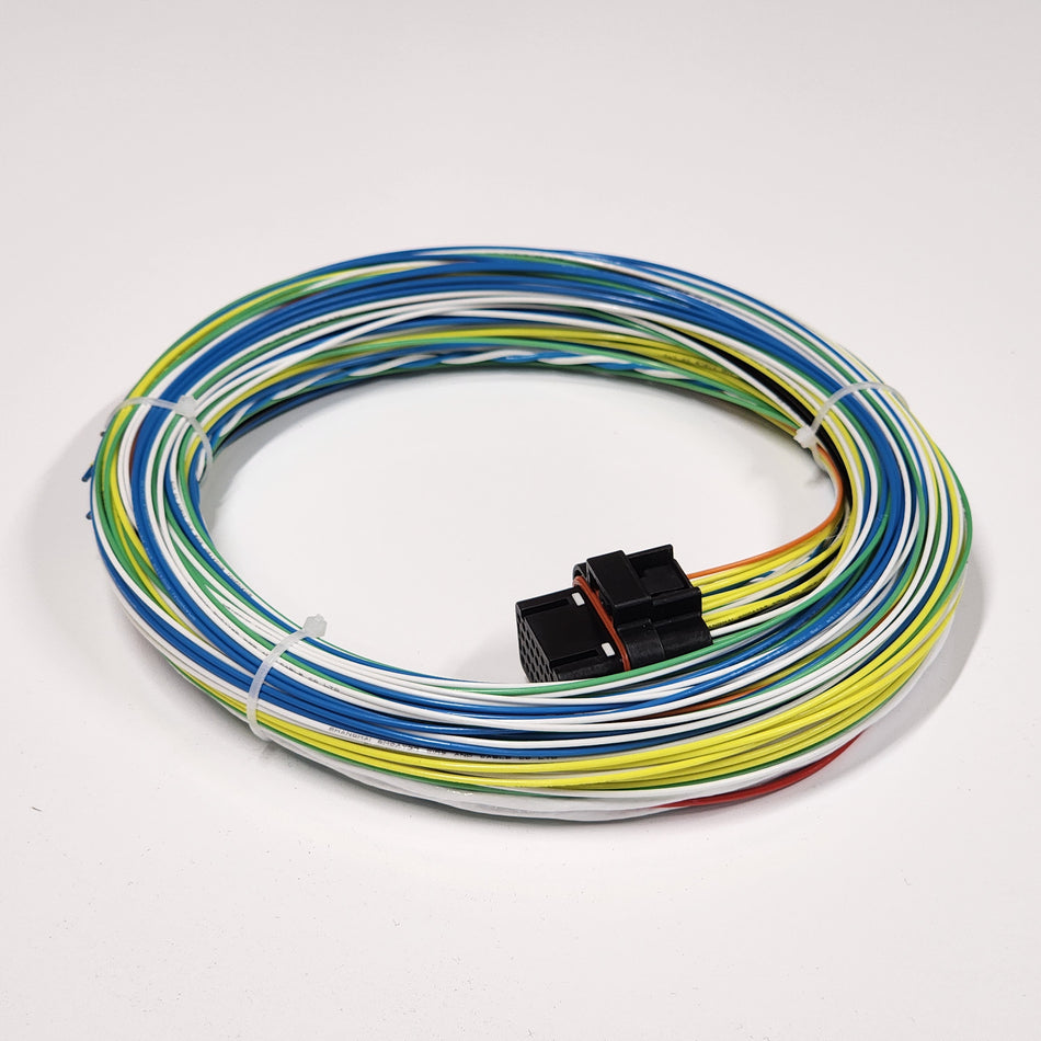 Haltech Elite 550 Motorsport Wiring Loom