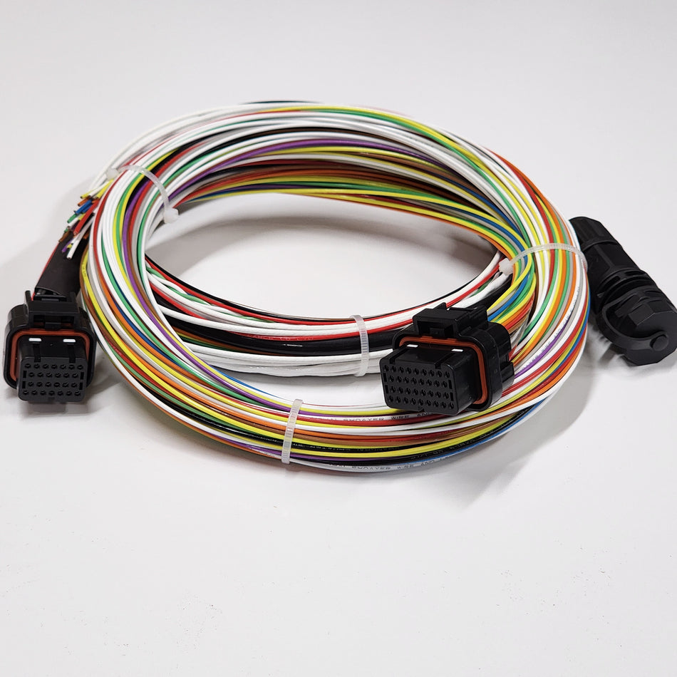 Motec M130 Motorsport Wiring Loom