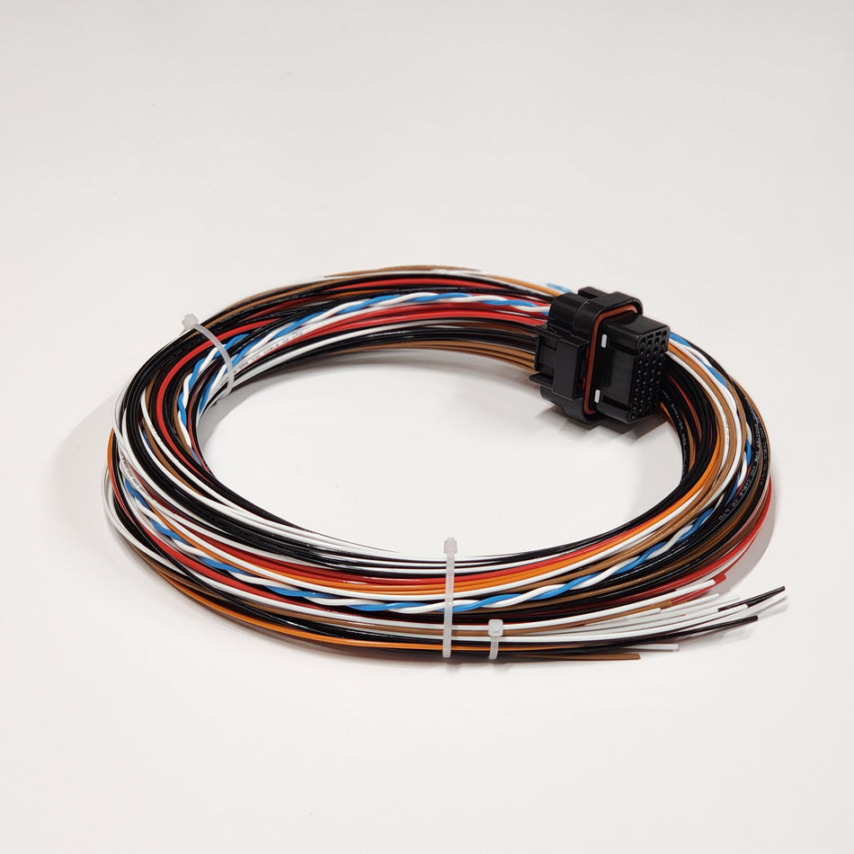 Haltech I/O16 Motorsport Wiring Loom