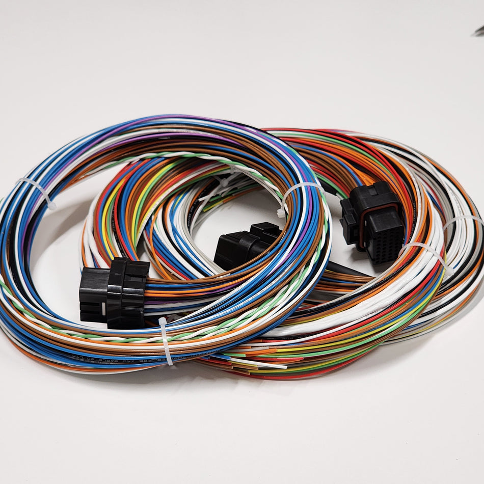 Link G5 Voodoo Pro Motorsport Wiring Loom