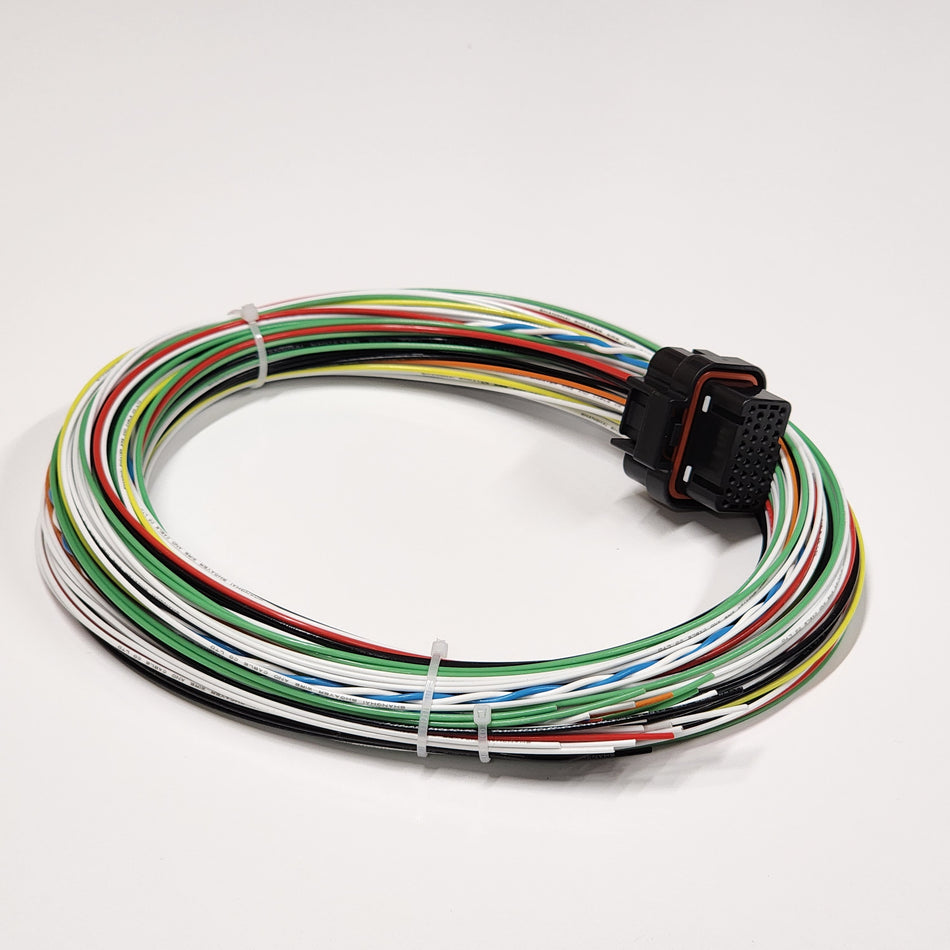Haltech uC-10 Motorsport Wiring Loom