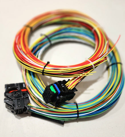 HWM Tefzel Wire-in Harness for MaxxECU
