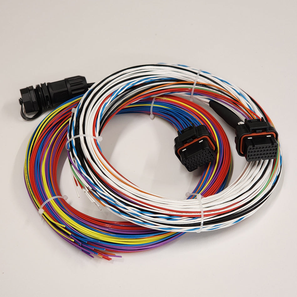 Emtron SL6 Motorsport Wiring Loom