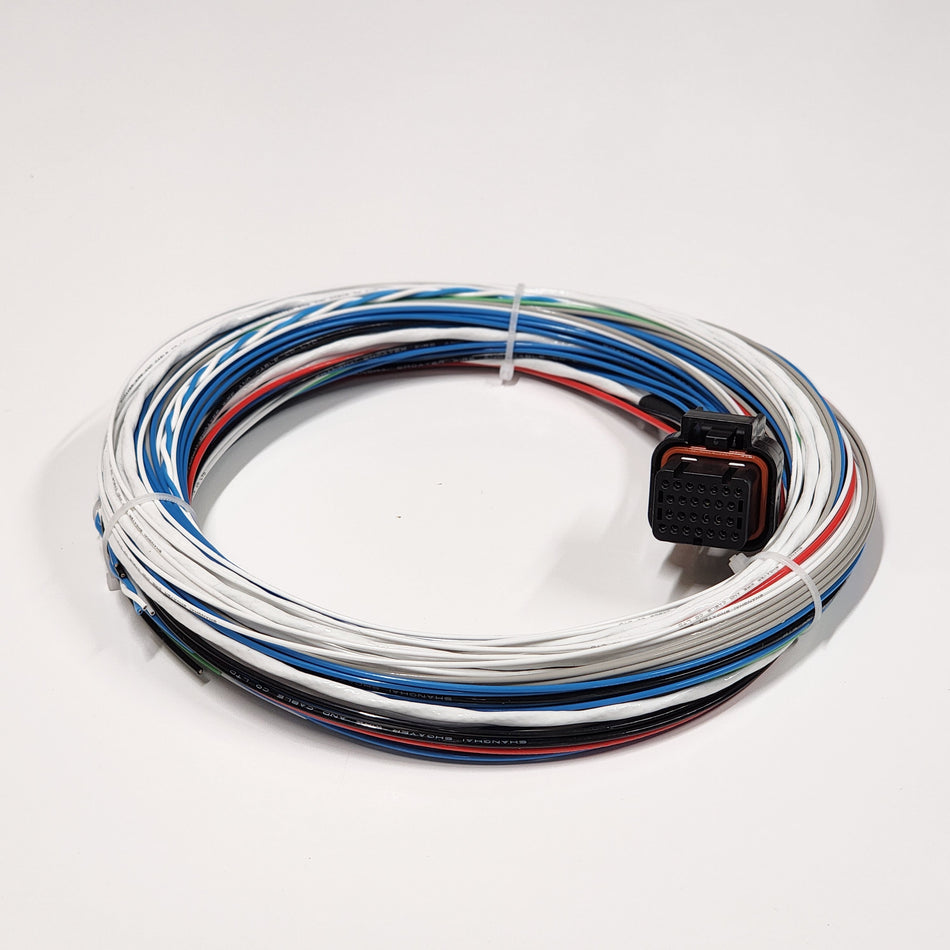 FuelTech FT450 Motorsport Wiring Loom
