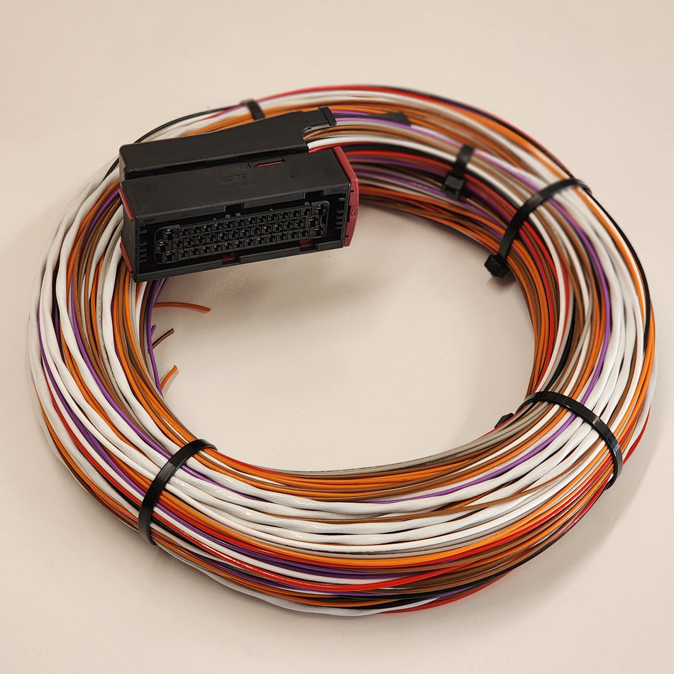 Autronic SM4 Motorsport Wiring Loom