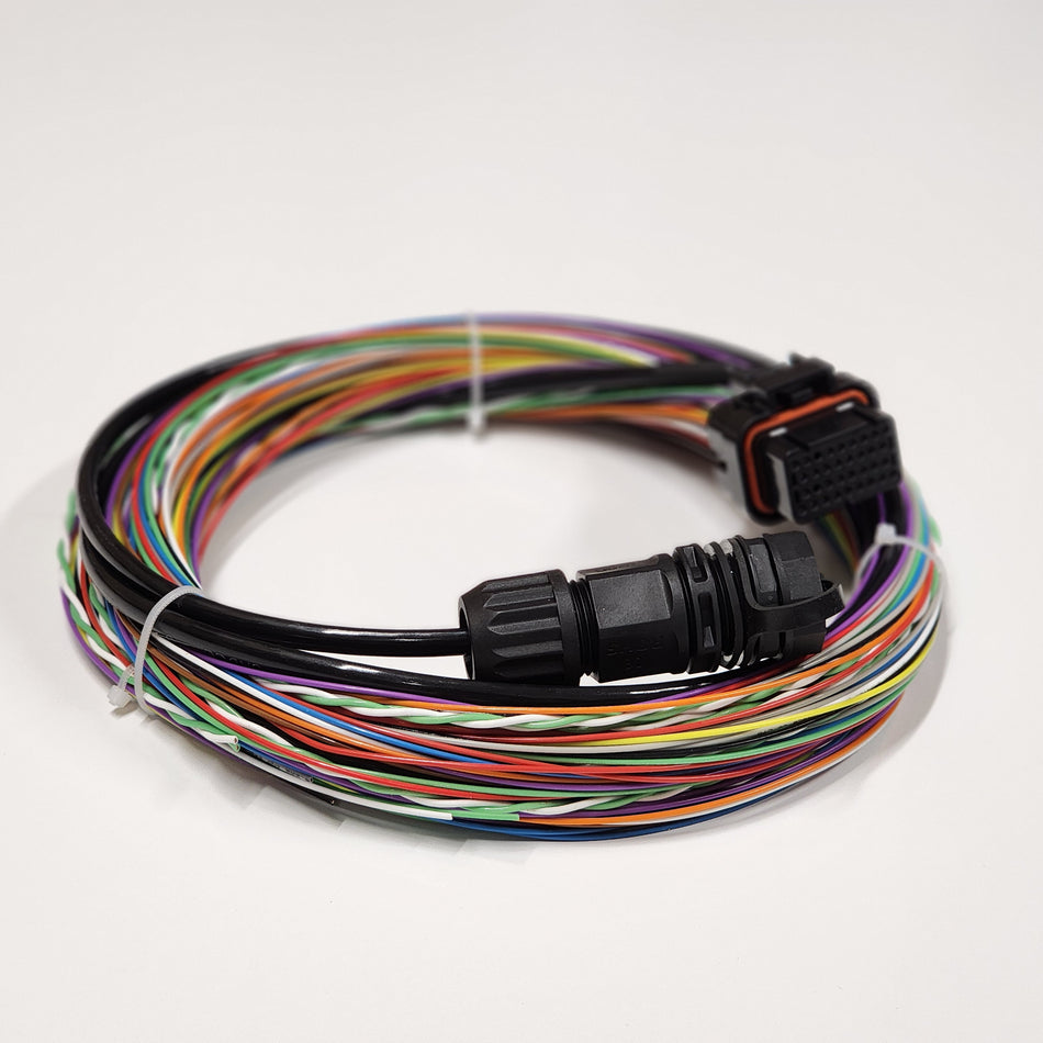 Motec C125/127 Motorsport Wiring Loom