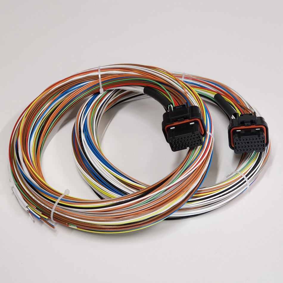 Link G5 Voodoo Neo 6 Motorsport Wiring Loom