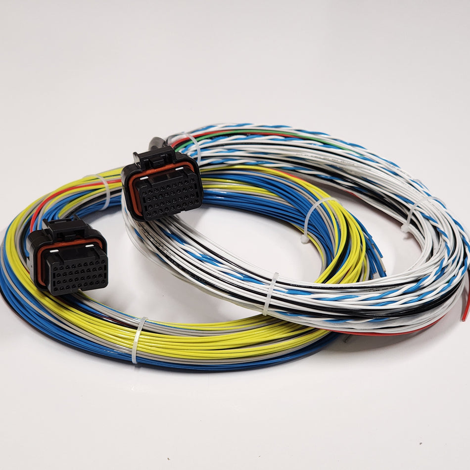 FuelTech FT600 Motorsport Wiring Loom