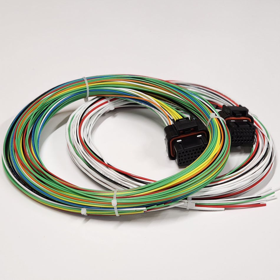 Haltech PS2000 Motorsport Wiring Loom