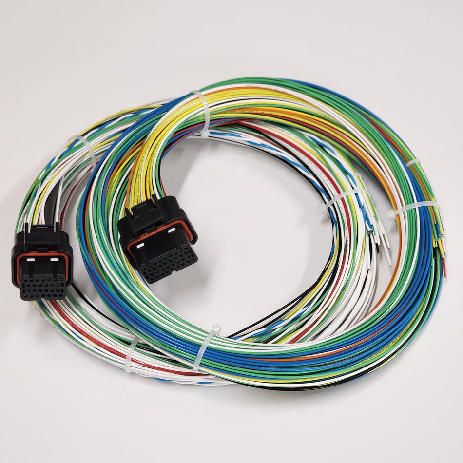 EMS 4860 Motorsport Wiring Loom