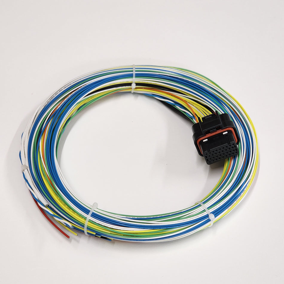Wolf V4x Motorsport Wiring Loom